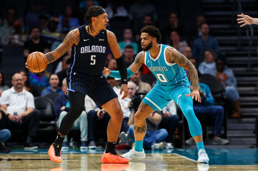 所强调的 所强调的